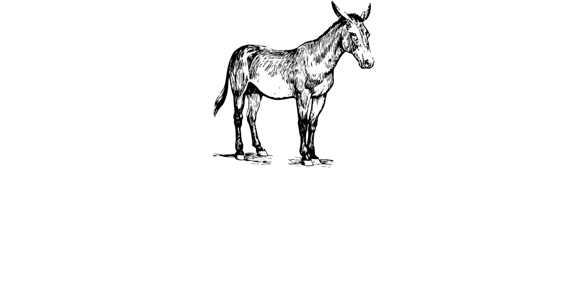 The Rustic Mule